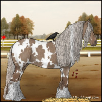 Horse Color:White Spotted Silver Grullo 