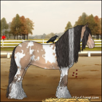 Horse Color:White Spotted Amber Champagne 