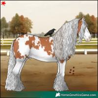 Horse Color:White Spotted Silver Bay Splash 