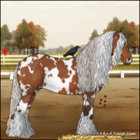 Horse Color:White Spotted Silver Bay 