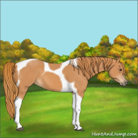 Horse Color:Chestnut Tobiano 