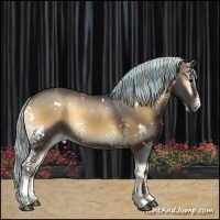 Horse Color:Painted White Spotted Silver Smoky Blue Onyx Appaloosa