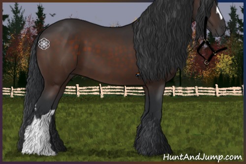 Horse Color:Brown 