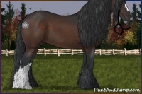 Horse Color:Brown 