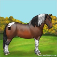 Horse Color:Brown Tobiano
