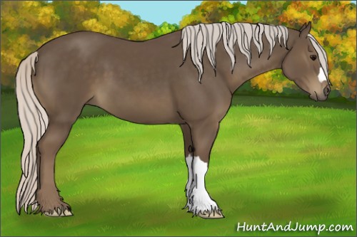 Horse Color:Silver Smoky Black 
