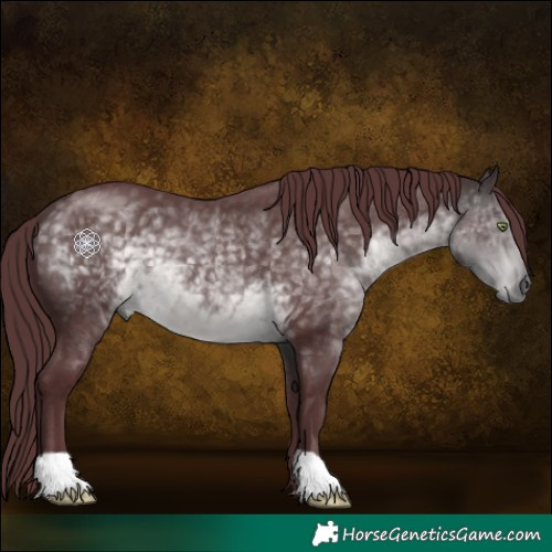 Horse Color:Platinum Chocolate Buckskin 