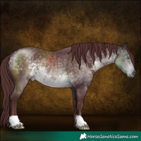 Horse Color:Platinum Chocolate Buckskin 
