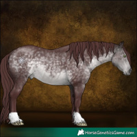 Horse Color:Platinum Chocolate Buckskin 