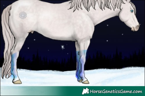 Horse Color:Platinum Chocolate Perlino 