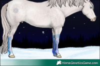 Horse Color:Platinum Chocolate Perlino 