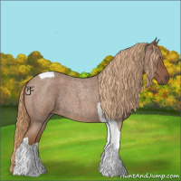 Horse Color:Red Roan Tobiano