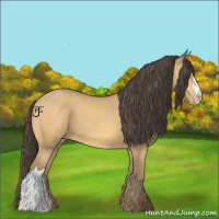 Horse Color:Amber Cream Champagne 