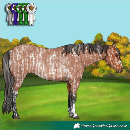 Horse Color:Bay Sabino Rabicano  and Bay Roan Rabicano 