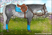 Horse Color:Silver Black Chinchilla 