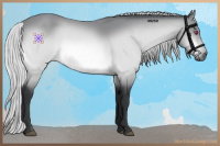 Horse Color:Silver Bay Chinchilla 