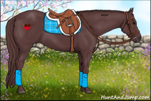 Horse Color:Chocolate Black