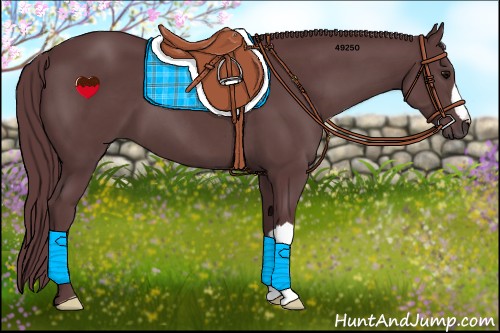 Horse Color:Chocolate Black 