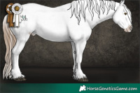 Horse Color:White Spotted Liver Chestnut Ice Pearl Sabino Appaloosa 