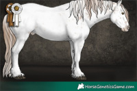 Horse Color:White Spotted Liver Chestnut Ice Pearl Sabino Snowcap