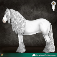 Horse Color:Silver Grullo Tobiano Blanket 