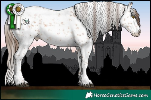 Horse Color:White Spotted Brown Pearl Sabino 