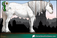 Horse Color:White Spotted Brown Pearl Sabino