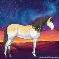Horse Color:White Spotted Buckskin 
