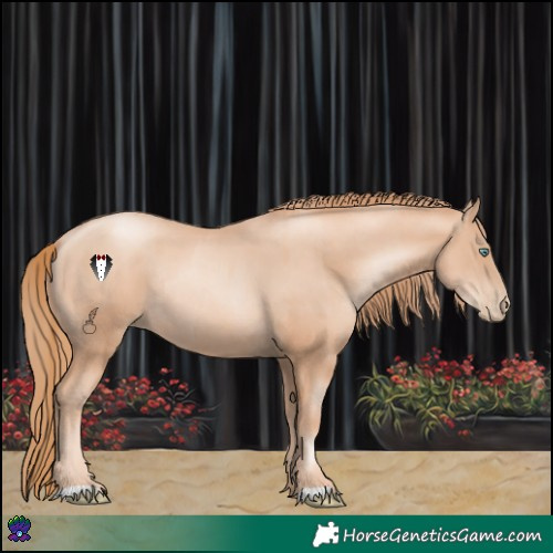 Horse Color:Gold Champagne Pearl Rabicano  and Gold Champagne Pearl Rabicano 