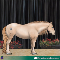 Horse Color:Gold Champagne Pearl Rabicano  and Gold Champagne Pearl Rabicano 