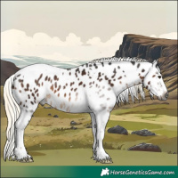 Horse Color:Gray Liver Chestnut Mushroom Sabino Tobiano Appaloosa 