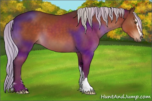 Horse Color:Silver Brown Sabino 