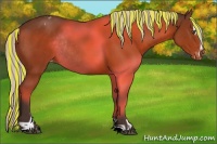 Horse Color:Painted Silver Brown Sabino Varnish Rabicano 