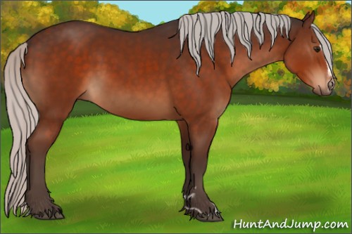 Horse Color:Silver Brown Sabino