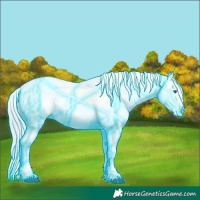 Horse Color:Thunderstruck Watercolor Chocolate Palomino Sabino Splash Appaloosa 