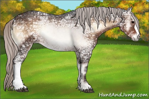 Horse Color:Silver Brown Ice Onyx Rabicano