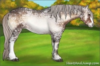 Horse Color:Silver Brown Ice Onyx Rabicano 