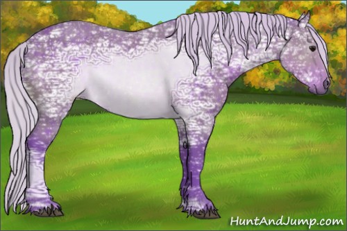 Horse Color:Watercolor Silver Brown Ice