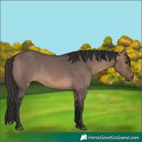 Horse Color:Brown Dun Mushroom 