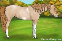 Horse Color:Red Roan Pearl Tobiano Frame 