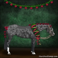 Horse Color:Black Ice Sabino