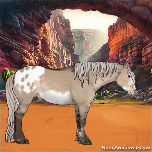 Horse Color:Silver Brown Dun Sabino Frame Appaloosa Rabicano 
