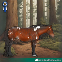 Horse Color:White Spotted Bay 