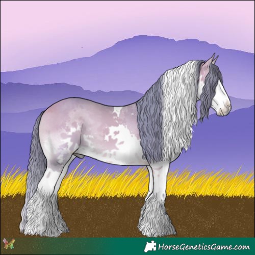 Horse Color:Watercolor Buckskin Onyx Sabino Splash Tobiano 