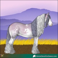 Horse Color:Watercolor Buckskin Onyx Sabino Splash Tobiano 