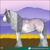 Horse Color:Watercolor Buckskin Onyx Sabino Splash Tobiano