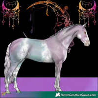 Horse Color:Watercolor White Spotted Silver Classic Champagne Sabino 