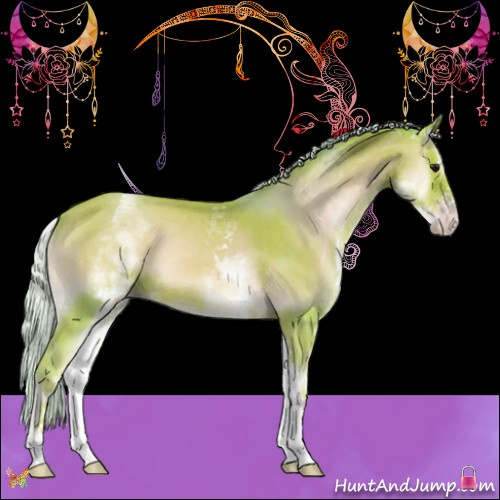 Horse Color:Watercolor White Spotted Silver Classic Champagne Onyx Sabino