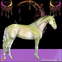 Horse Color:Watercolor White Spotted Silver Classic Champagne Onyx Sabino 