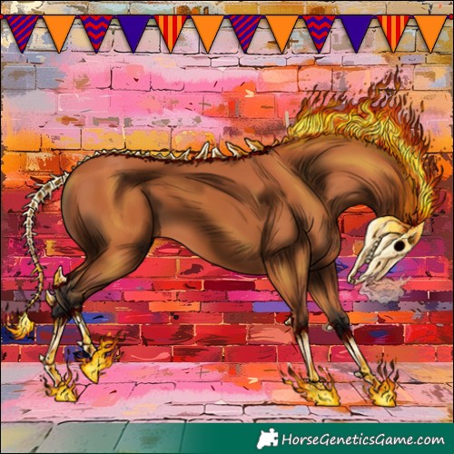 Horse Color:Bay 